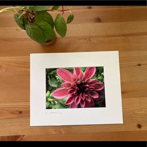 New Original Signed Photography - Picture 2 of 5